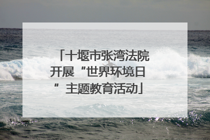 十堰市张湾法院开展“世界环境日”主题教育活动