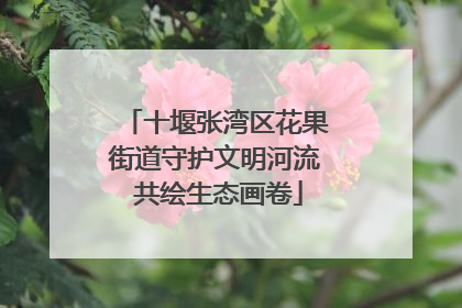 十堰张湾区花果街道守护文明河流 共绘生态画卷