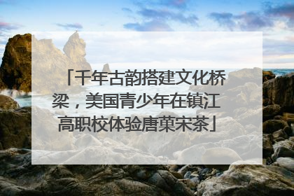 千年古韵搭建文化桥梁，美国青少年在镇江高职校体验唐菓宋茶