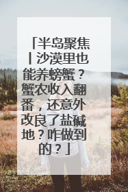 半岛聚焦丨沙漠里也能养螃蟹？蟹农收入翻番，还意外改良了盐碱地？咋做到的？