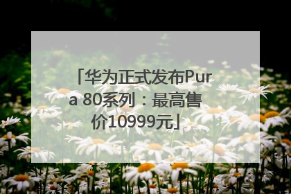 华为正式发布Pura 80系列：最高售价10999元