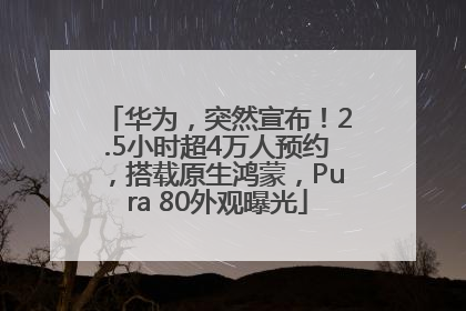 华为，突然宣布！2.5小时超4万人预约，搭载原生鸿蒙，Pura 80外观曝光