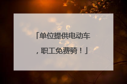 单位提供电动车，职工免费骑！