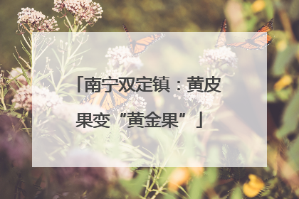 南宁双定镇：黄皮果变“黄金果”