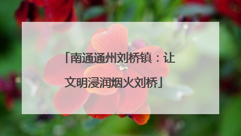 南通通州刘桥镇：让文明浸润烟火刘桥