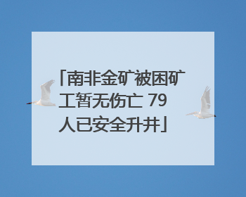 南非金矿被困矿工暂无伤亡 79人已安全升井