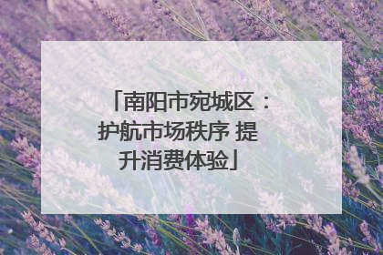 南阳市宛城区：护航市场秩序 提升消费体验