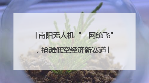 南阳无人机“一网统飞”，抢滩低空经济新赛道