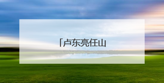 卢东亮任山西省代省长