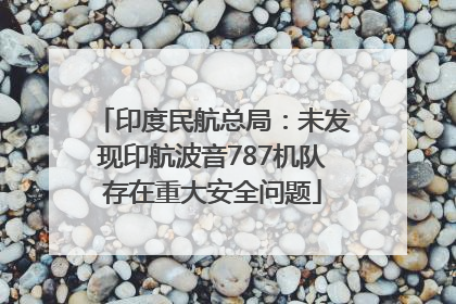 印度民航总局：未发现印航波音787机队存在重大安全问题