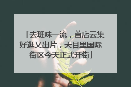 去班味一流，首店云集好逛又出片，天目里国际街区今天正式开街