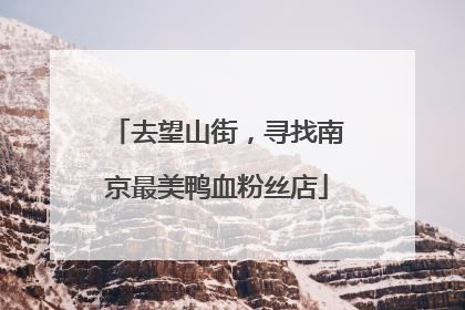 去望山街，寻找南京最美鸭血粉丝店
