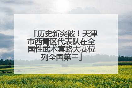 历史新突破！天津市西青区代表队在全国性武术套路大赛位列全国第三
