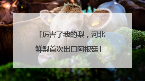厉害了我的梨，河北鲜梨首次出口阿根廷