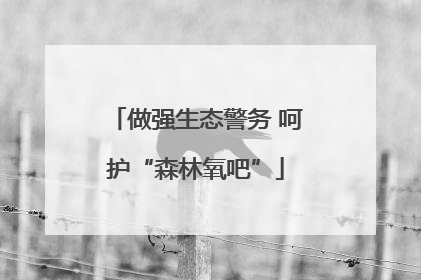 做强生态警务 呵护“森林氧吧”