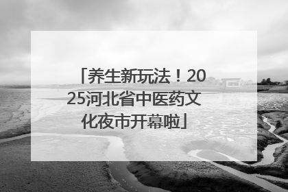 养生新玩法！2025河北省中医药文化夜市开幕啦