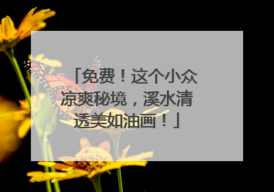 免费！这个小众凉爽秘境，溪水清透美如油画！