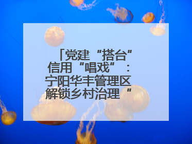 党建“搭台”信用“唱戏”：宁阳华丰管理区解锁乡村治理“信用密码”