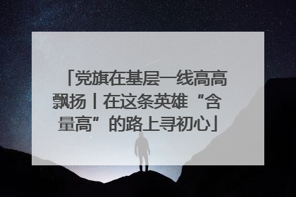 党旗在基层一线高高飘扬丨在这条英雄“含量高”的路上寻初心