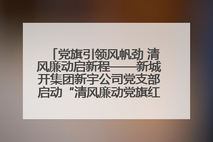 党旗引领风帆劲 清风廉动启新程——新城开集团新宇公司党支部启动“清风廉动党旗红”系列活动