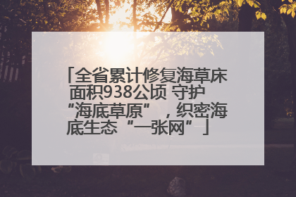 全省累计修复海草床面积938公顷 守护“海底草原”，织密海底生态“一张网”