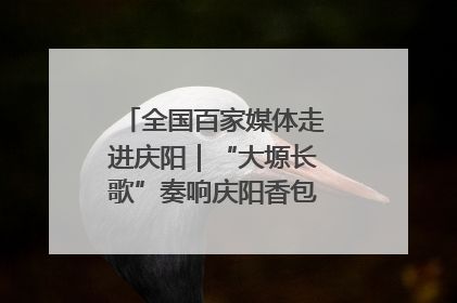 全国百家媒体走进庆阳｜“大塬长歌”奏响庆阳香包民俗文化节序曲