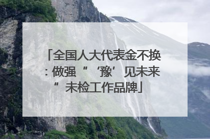 全国人大代表金不换：做强“‘豫’见未来”未检工作品牌
