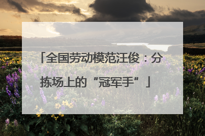 全国劳动模范汪俊：分拣场上的“冠军手”