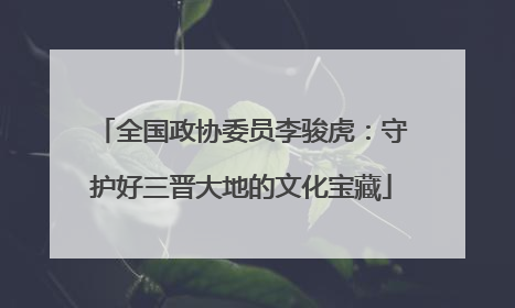 全国政协委员李骏虎：守护好三晋大地的文化宝藏