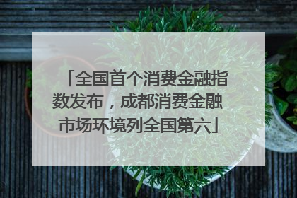 全国首个消费金融指数发布，成都消费金融市场环境列全国第六