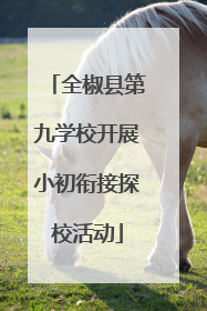 全椒县第九学校开展小初衔接探校活动