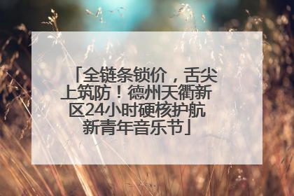 全链条锁价，舌尖上筑防！德州天衢新区24小时硬核护航新青年音乐节