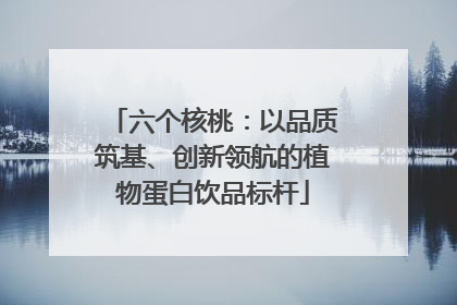 六个核桃：以品质筑基、创新领航的植物蛋白饮品标杆