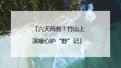 六天两救！竹山上演暖心护“野”记