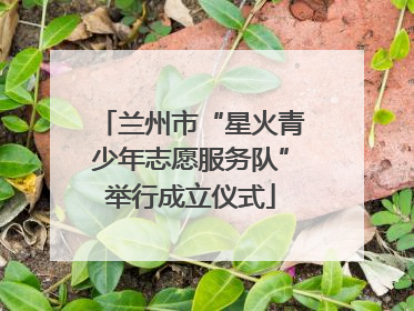 兰州市“星火青少年志愿服务队”举行成立仪式