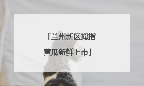 兰州新区拇指黄瓜新鲜上市