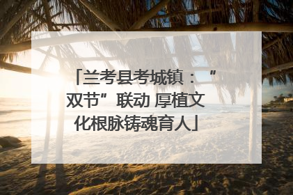 兰考县考城镇：“双节”联动 厚植文化根脉铸魂育人
