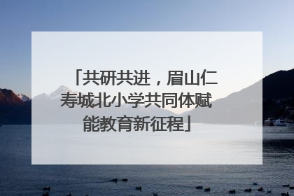 共研共进，眉山仁寿城北小学共同体赋能教育新征程