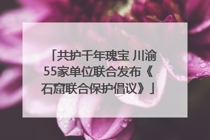 共护千年瑰宝 川渝55家单位联合发布《石窟联合保护倡议》