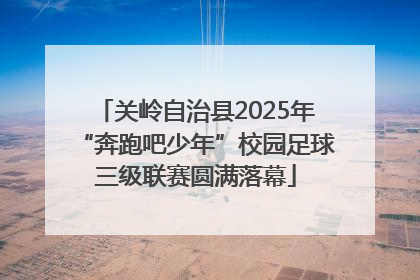关岭自治县2025年“奔跑吧少年”校园足球三级联赛圆满落幕