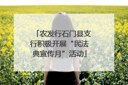 农发行石门县支行积极开展“民法典宣传月”活动