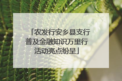 农发行安乡县支行普及金融知识万里行活动亮点纷呈