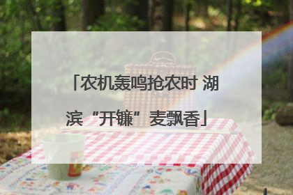 农机轰鸣抢农时 湖滨“开镰”麦飘香