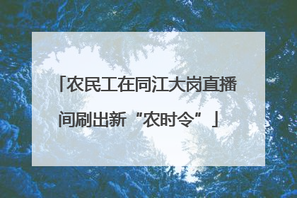 农民工在同江大岗直播间刷出新“农时令”