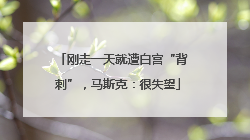刚走一天就遭白宫“背刺”，马斯克：很失望