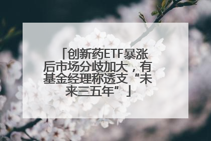 创新药ETF暴涨后市场分歧加大，有基金经理称透支“未来三五年”