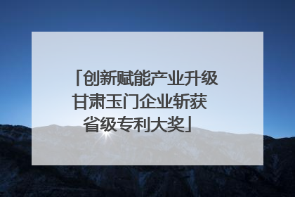 创新赋能产业升级 甘肃玉门企业斩获省级专利大奖