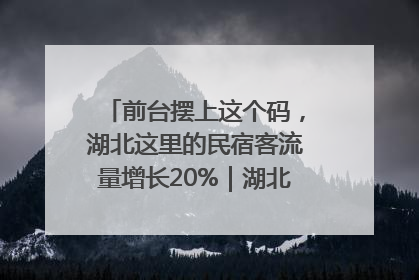 前台摆上这个码，湖北这里的民宿客流量增长20%｜湖北市场监管所的故事