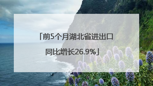 前5个月湖北省进出口同比增长26.9%