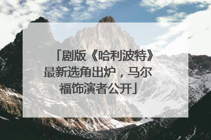 剧版《哈利波特》最新选角出炉，马尔福饰演者公开
